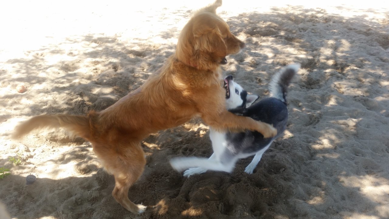 20180516_145532.jpg