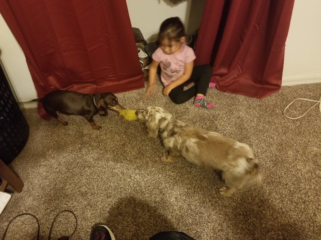 20180517_183235.jpg