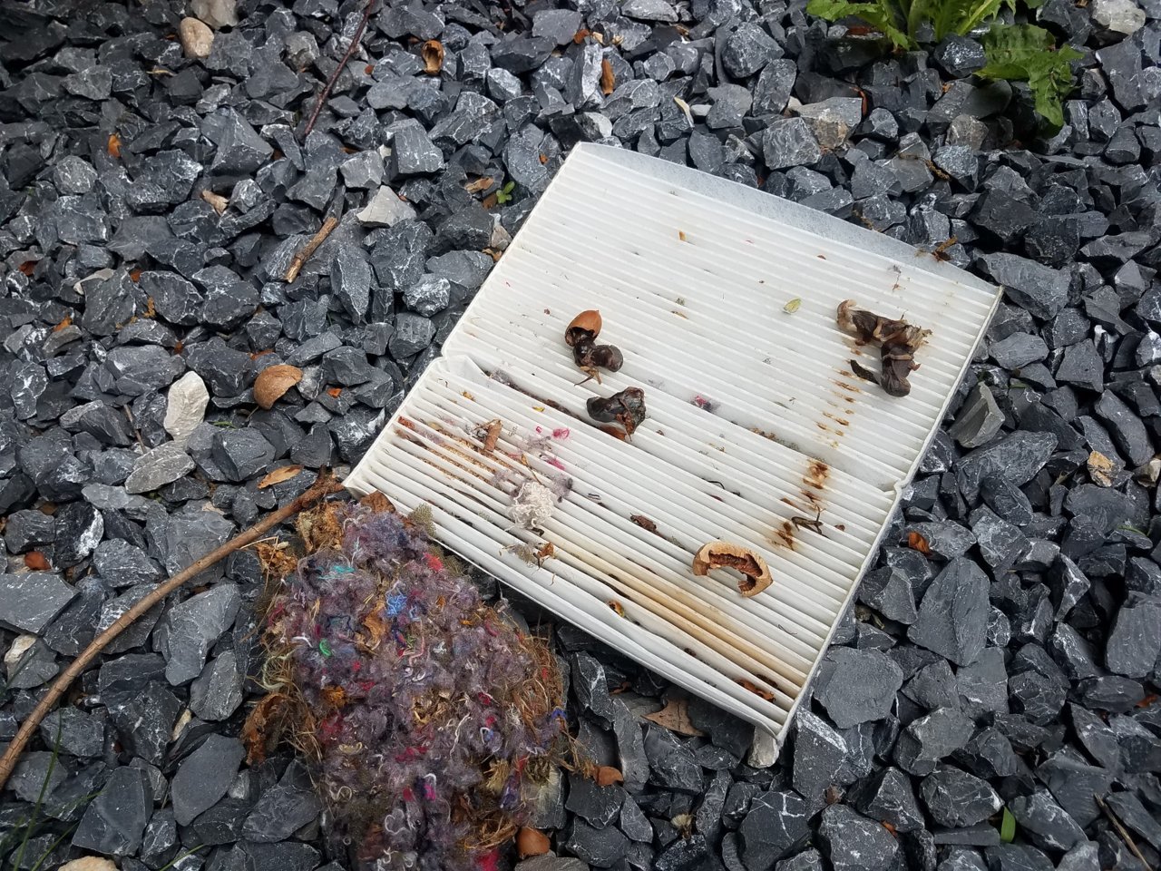 20180518_160542.jpg