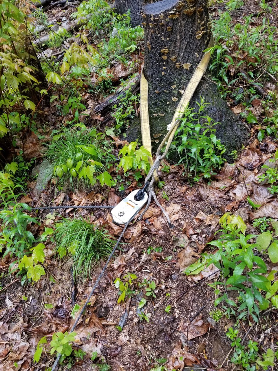20180519_103629.jpg