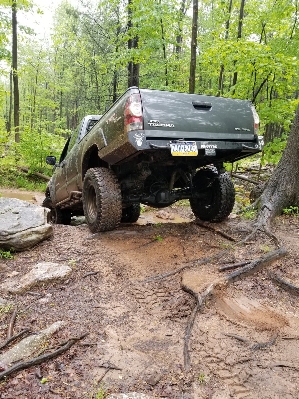 20180519_123306.jpg