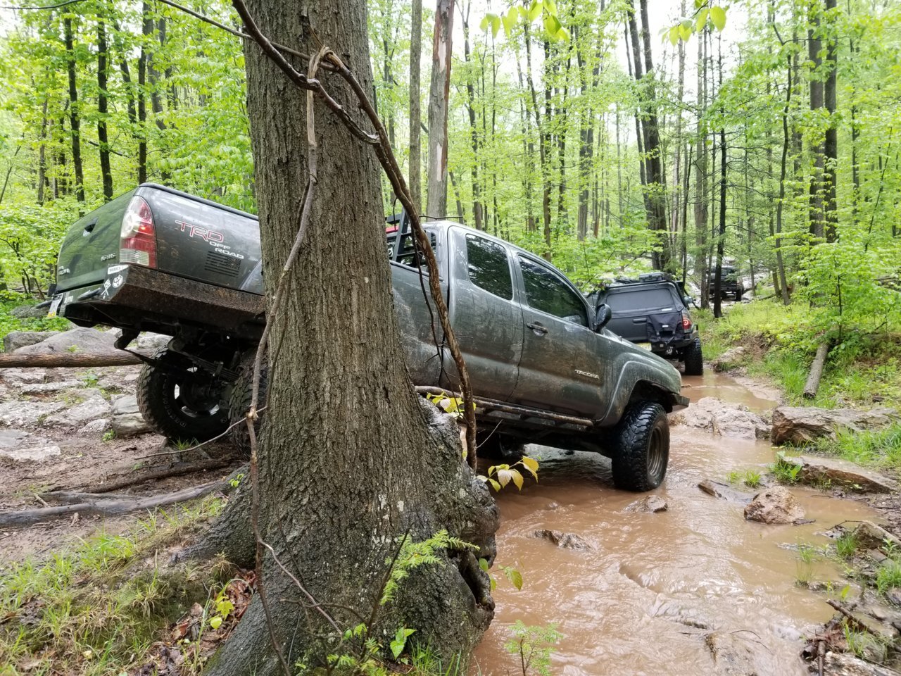 20180519_123323.jpg