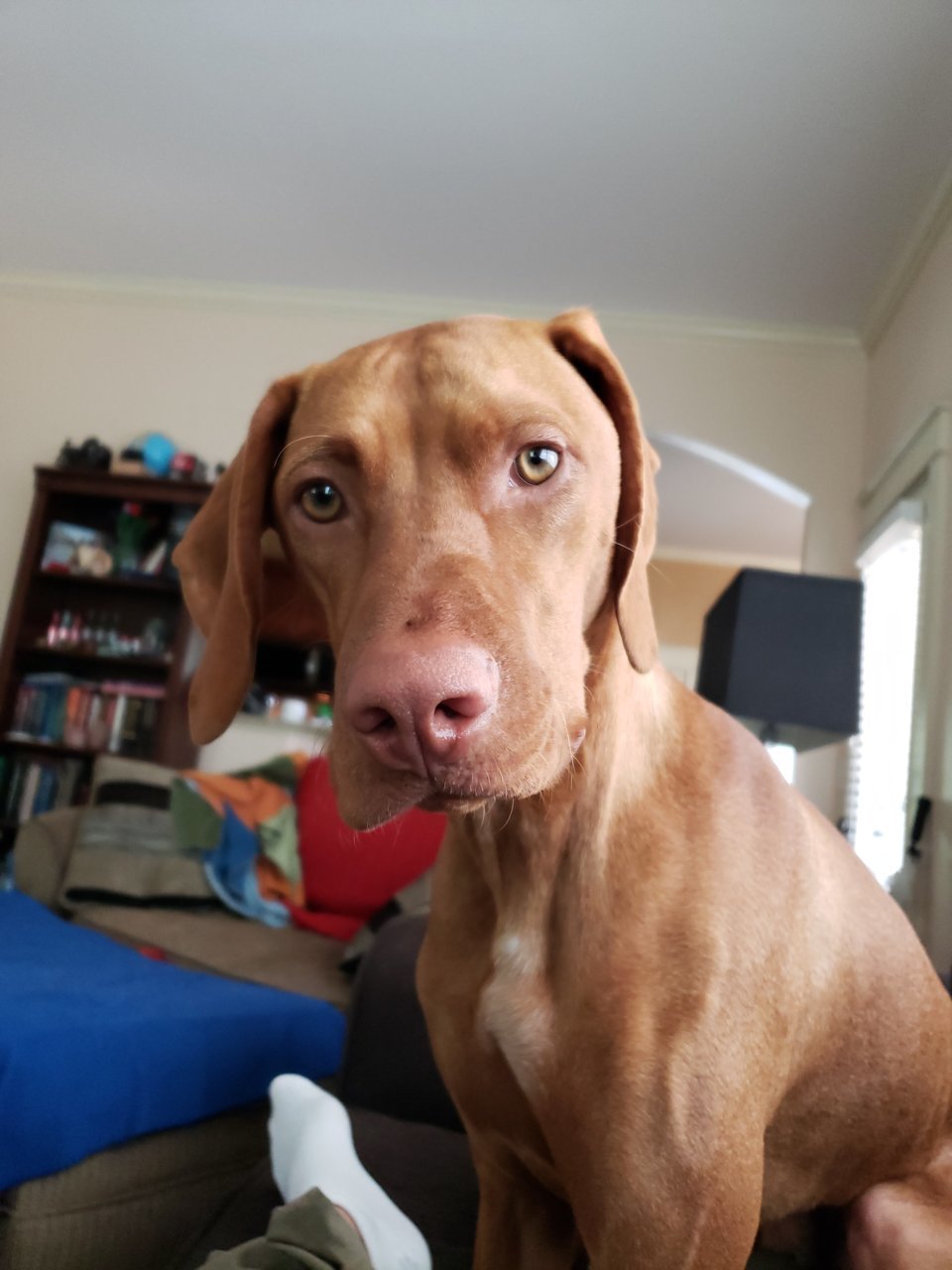 20180519_140541.jpg