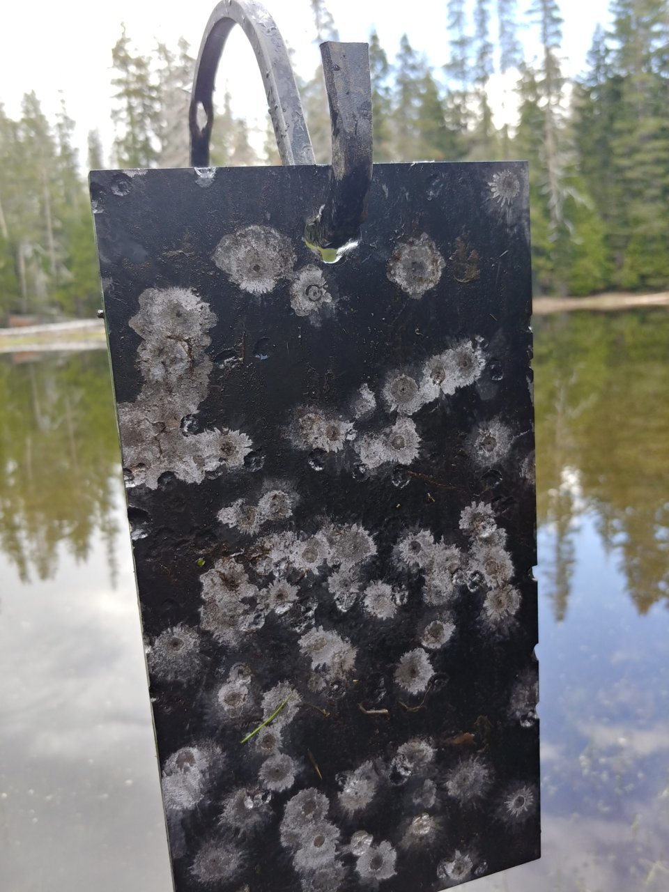 20180519_151314_HDR.jpg