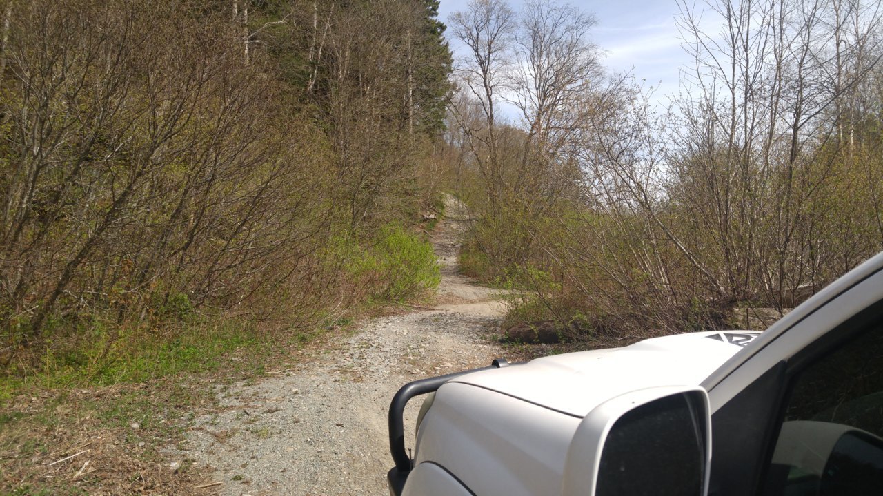 20180519_153816.jpg