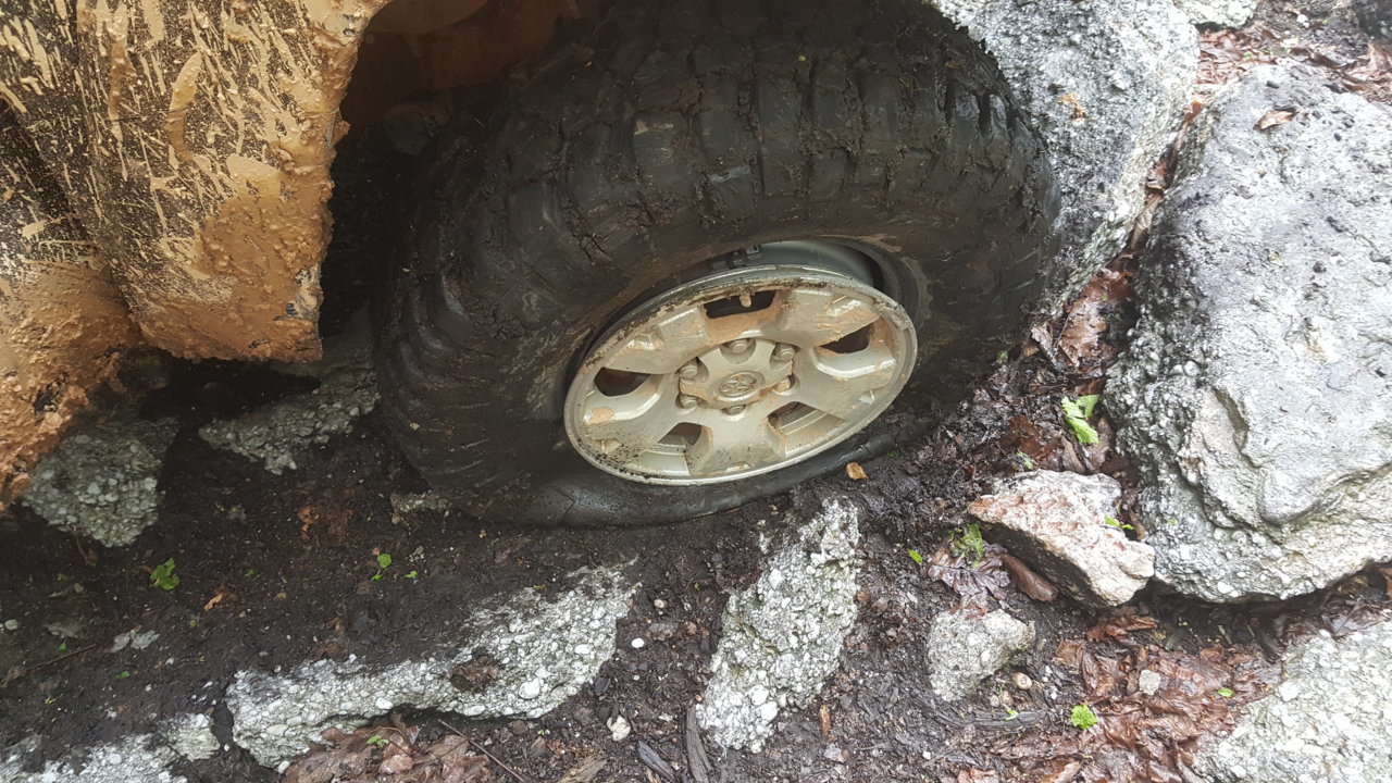 20180519_163453.jpg