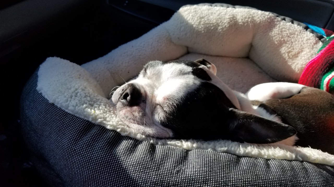 20180519_175058.jpg