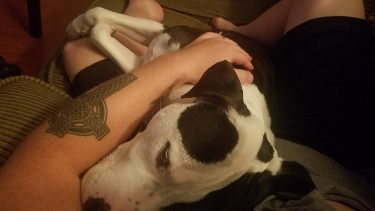 20180519_215518.jpg