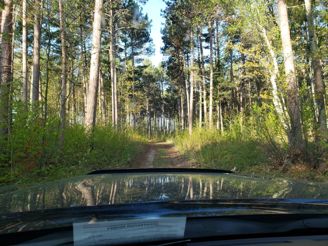 20180520_071832.jpg