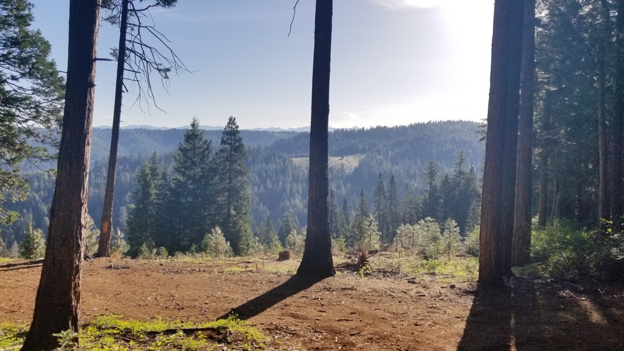 20180520_073946.jpg