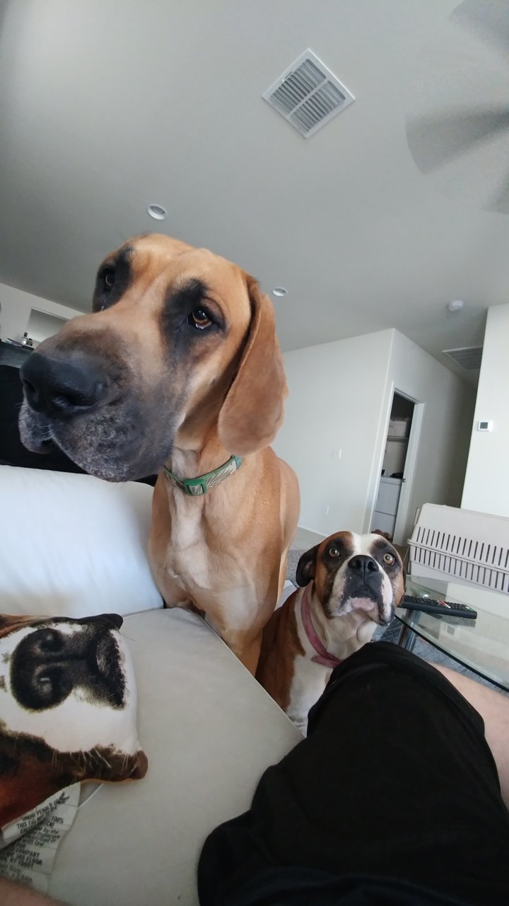 20180520_080354.jpg