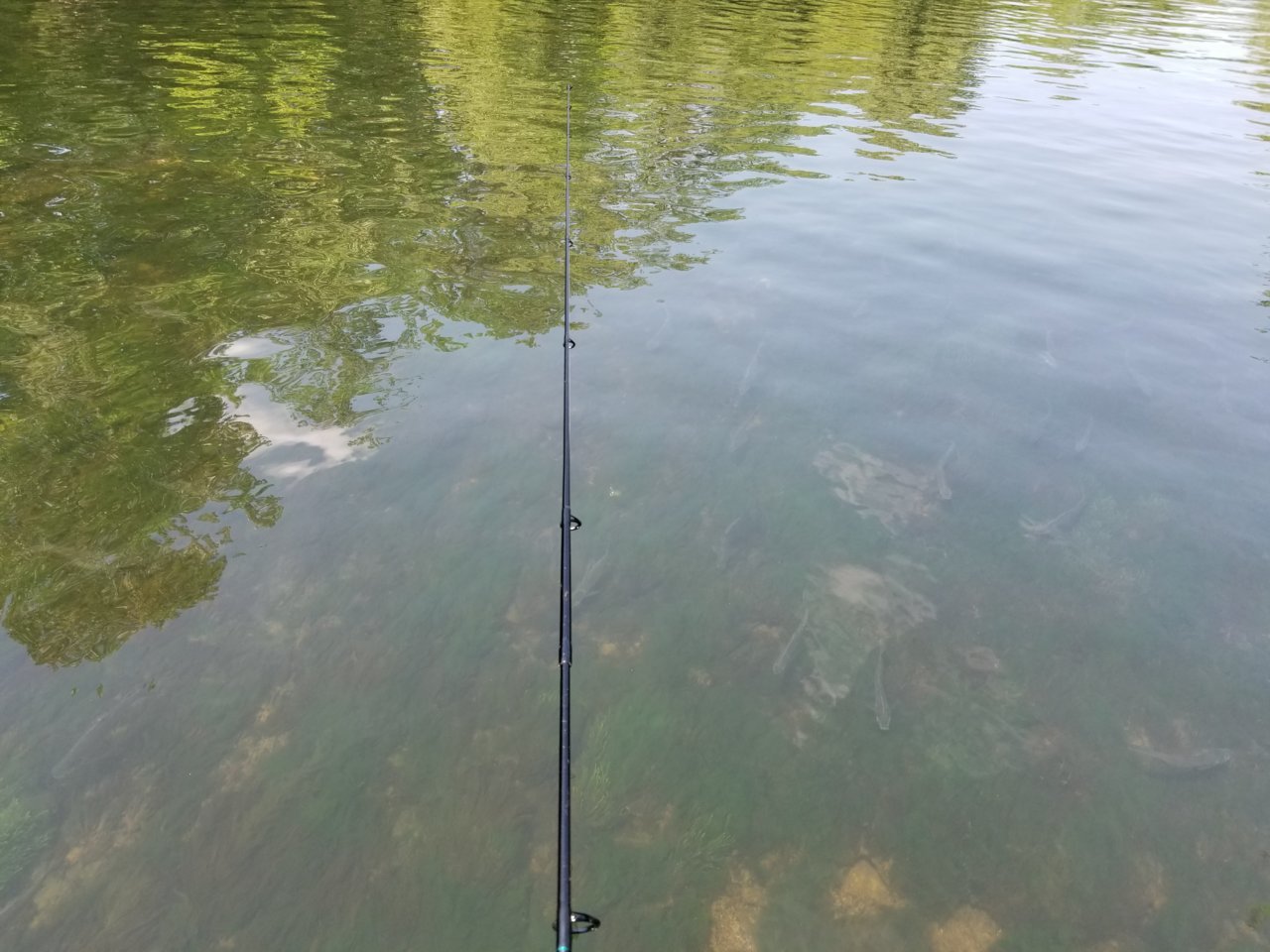 20180520_111358.jpg