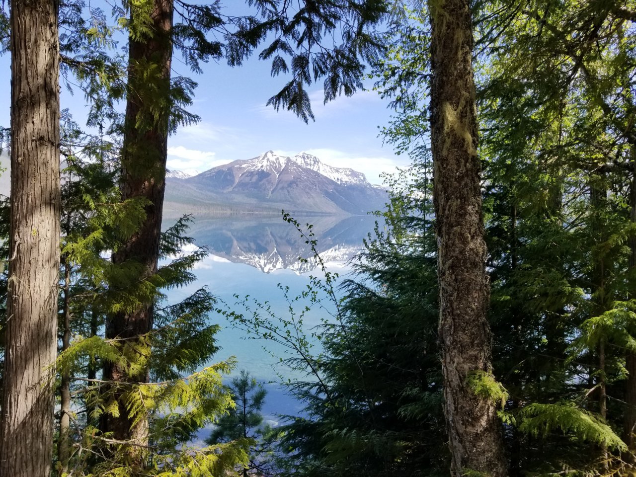 20180520_112721.jpg