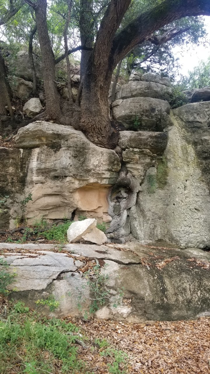 20180520_150355.jpg