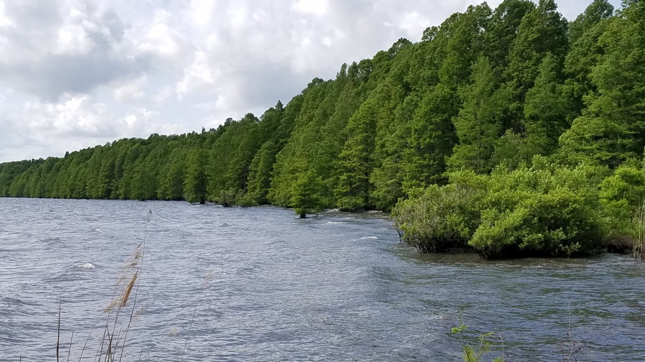20180520_154551.jpg