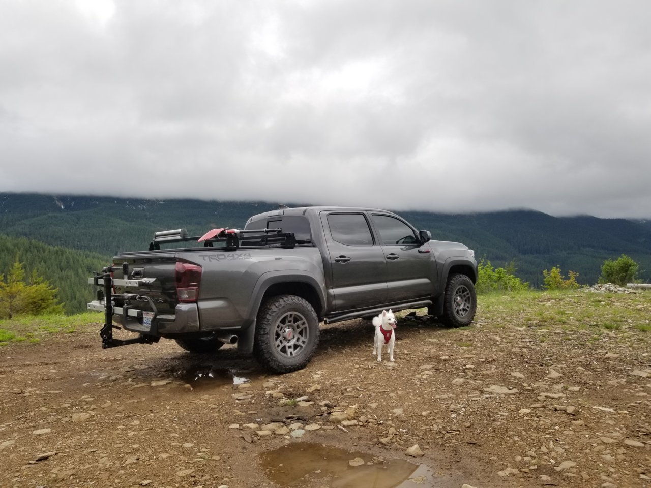 20180520_170216.jpg