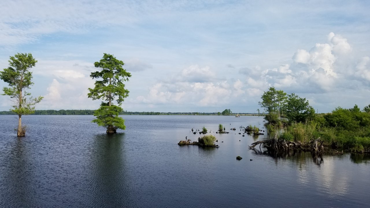 20180520_175228.jpg