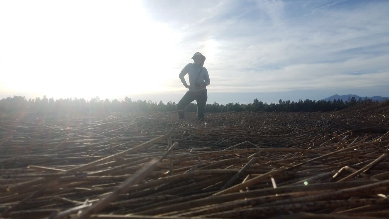 20180520_181231.jpg