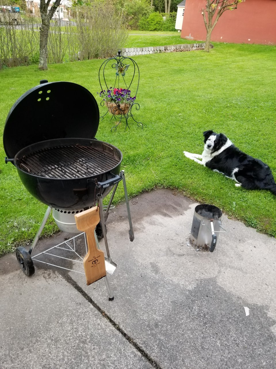 20180520_190619.jpg