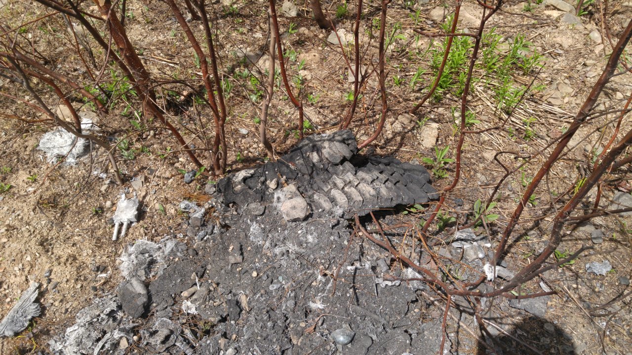 20180521_142856.jpg