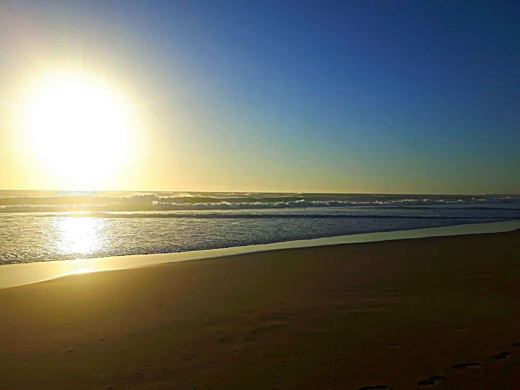 20180521_194935_edit_1528228141735_7d891ab841d50ab2d8c3321fa090f561f901f123.jpg