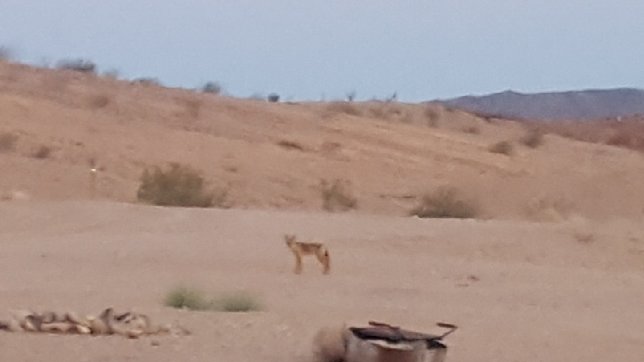 20180522_071624.jpg