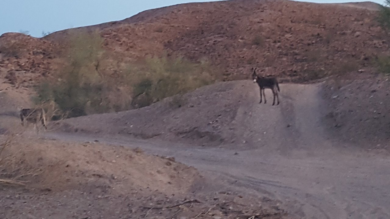 20180522_072002.jpg