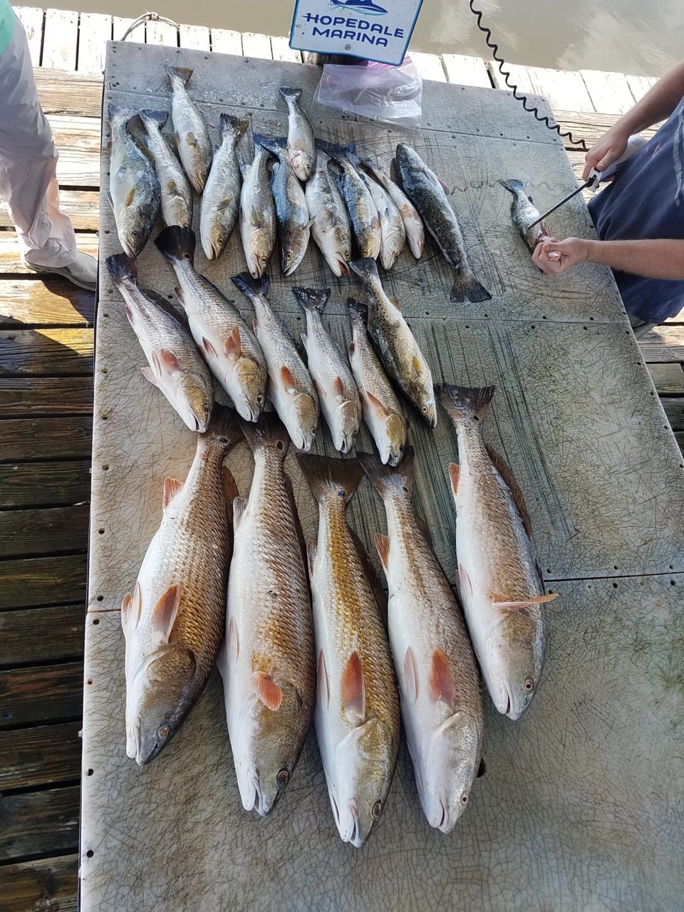20180523_100831.jpg