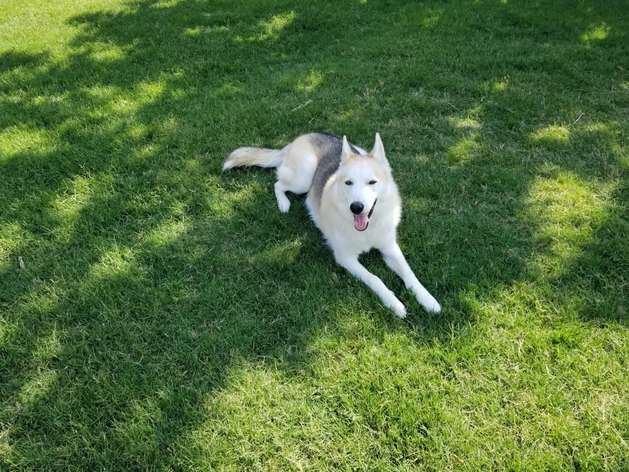 20180523_102830[1].jpg