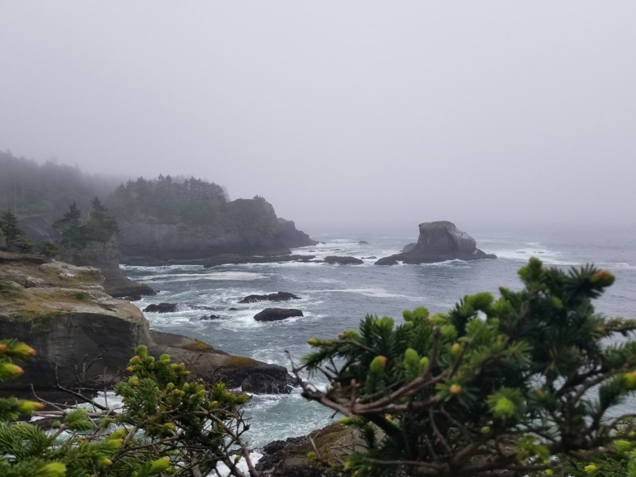 20180523_162901.jpg
