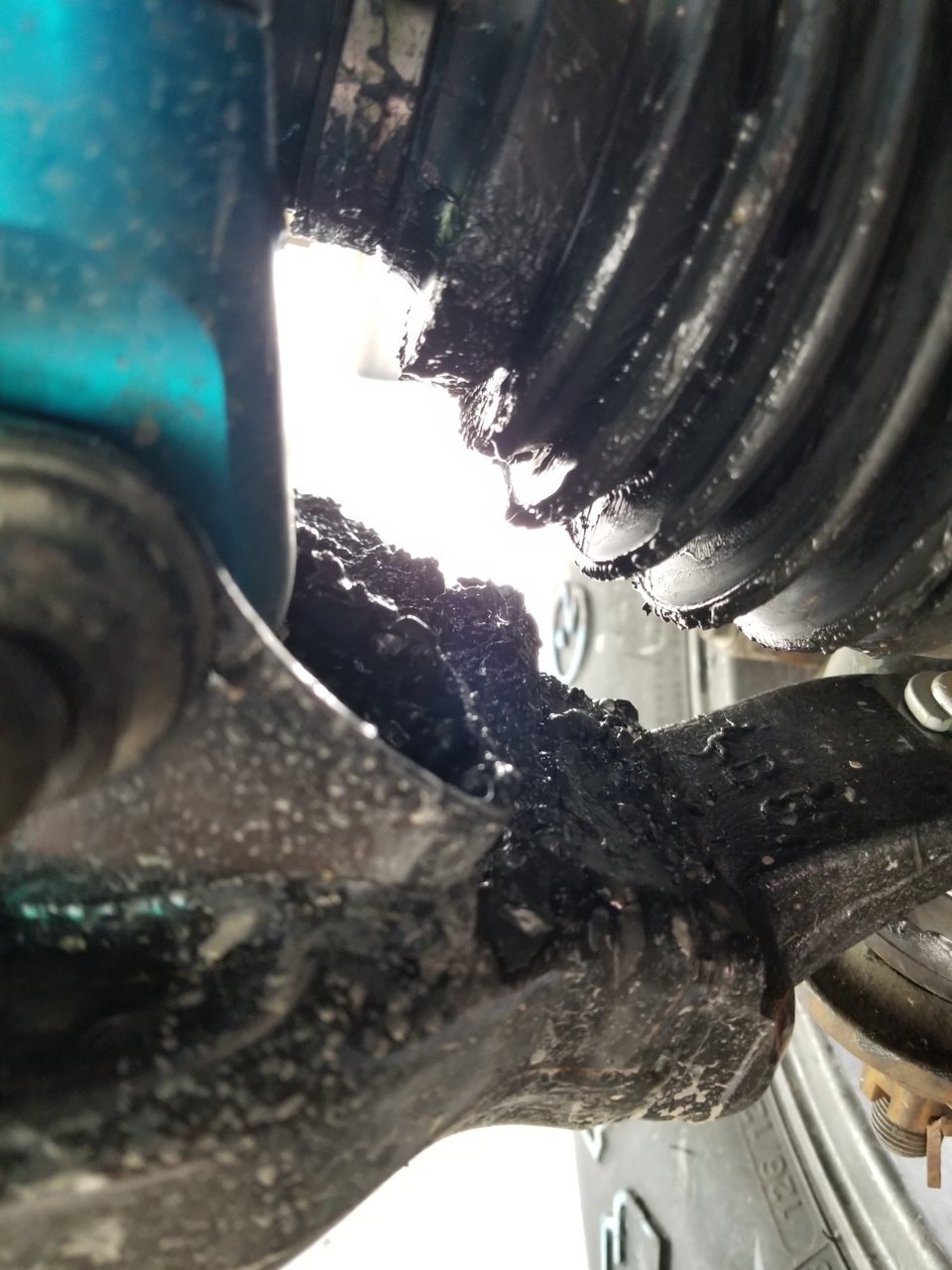 20180523_171612.jpg