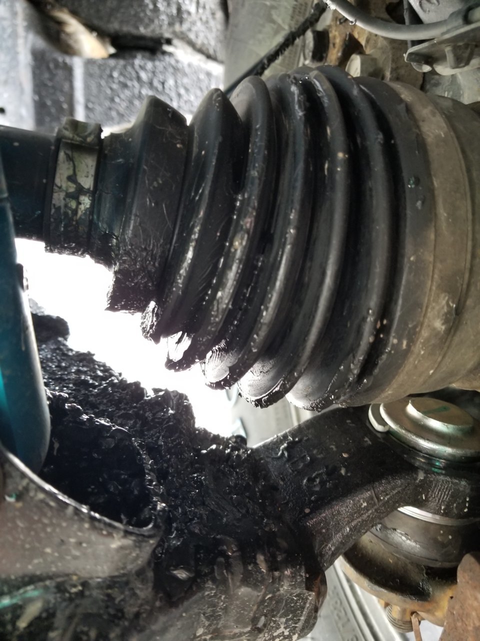 20180523_171615.jpg