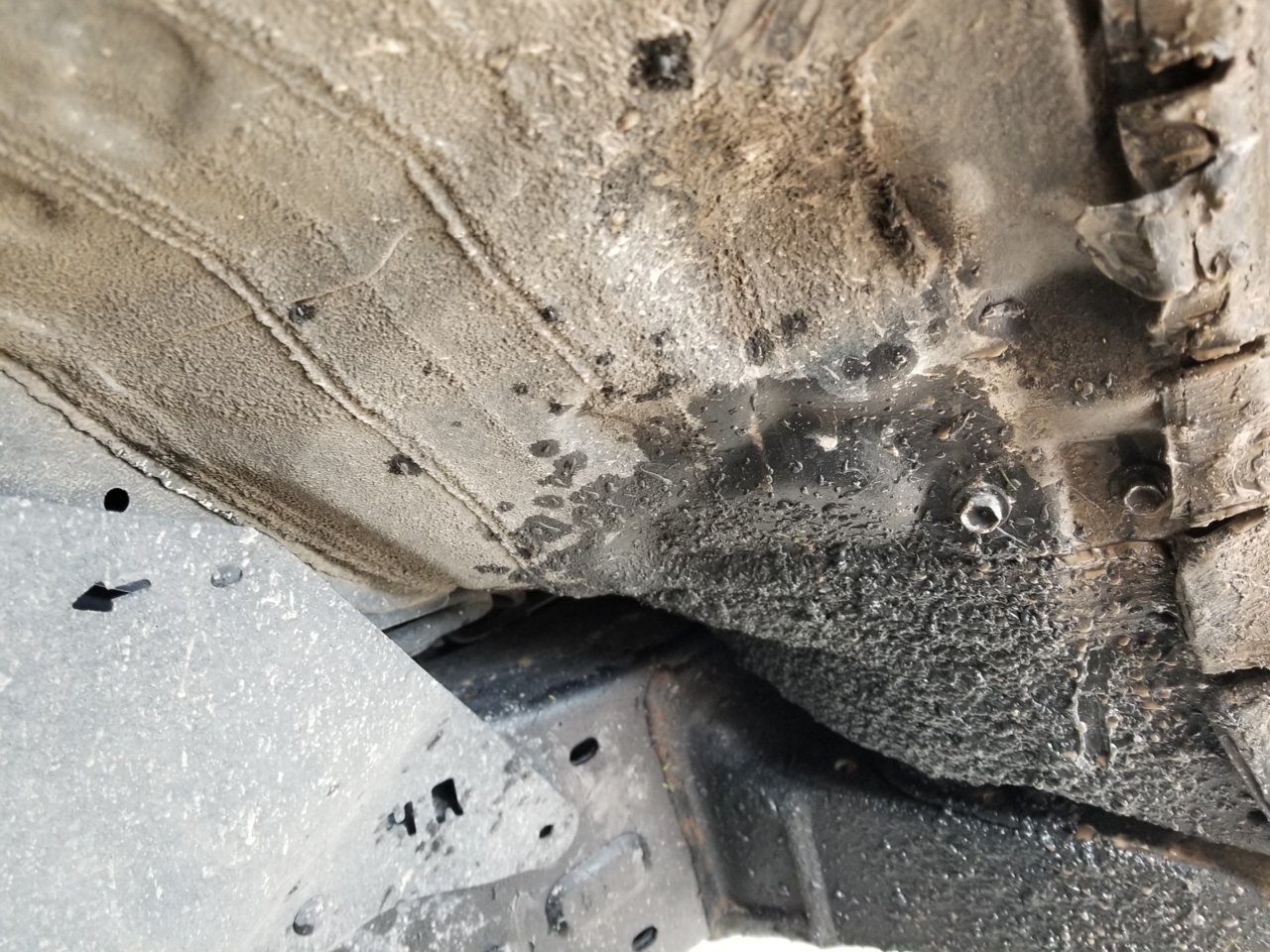 20180523_171625.jpg