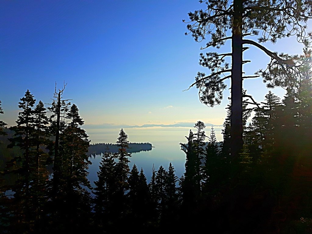 20180524_065559_edit_1528229759127_21ac6f2b411e586041cdd4022d473e3de4d0cd07.jpg