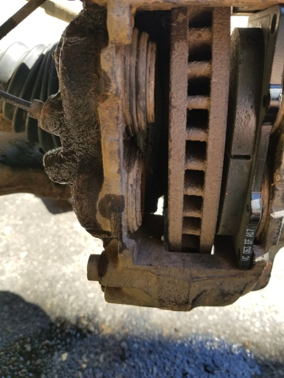 20180524_094941.jpg