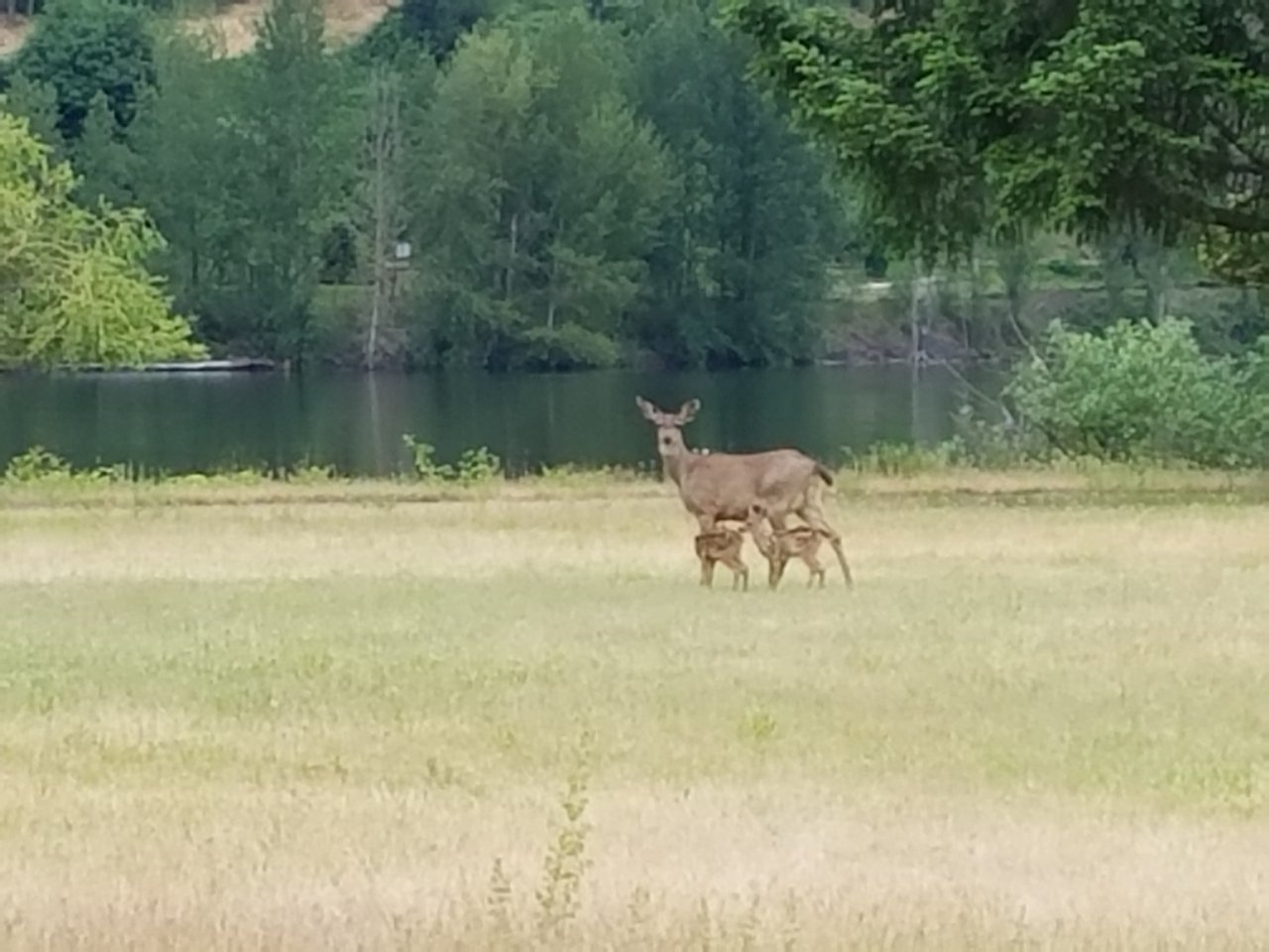 20180524_101532.jpg