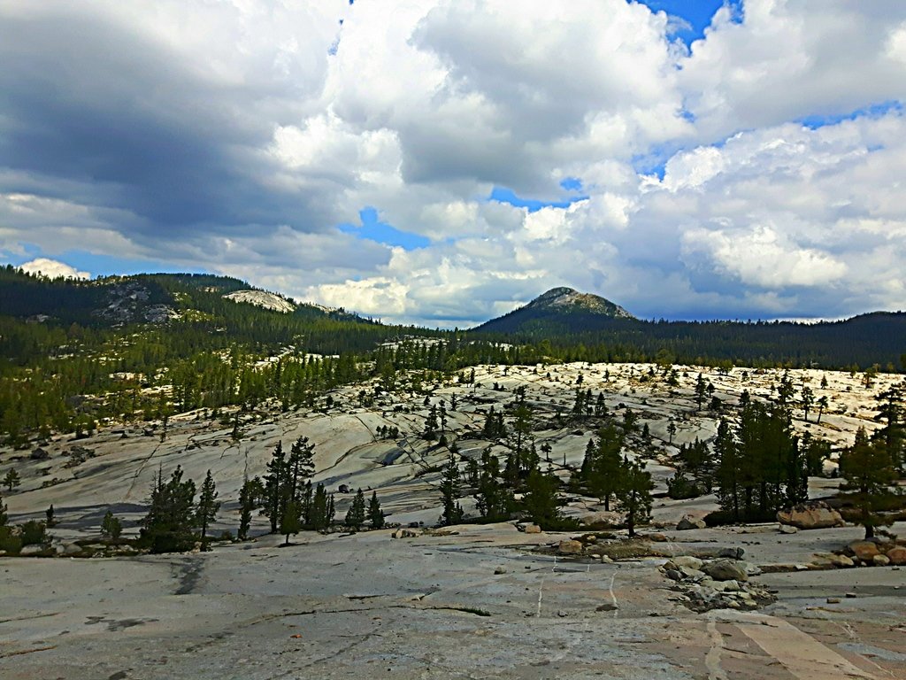 20180524_111341_edit_1528396395819_8e2cf63a169a046b078b4e5aa606b6df1747777a.jpg