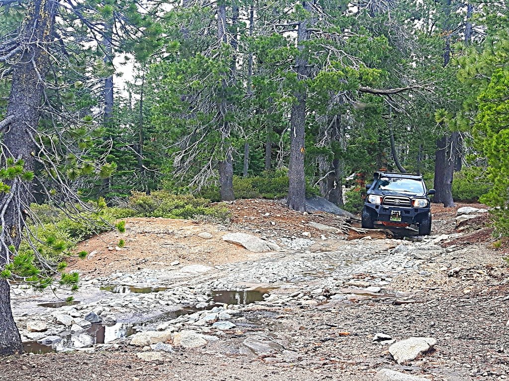 20180524_122819_edit_1528397801346_ddd3036c41227b3da8fec40d97fa04f0f37d869b.jpg