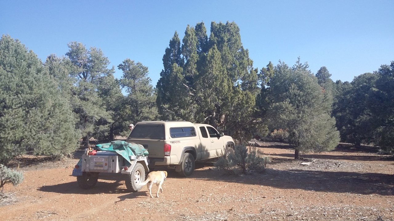 20180524_165941.jpg