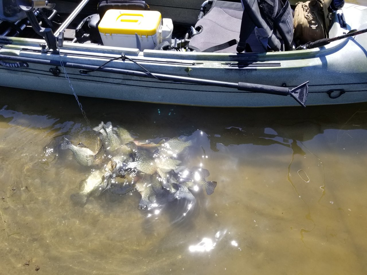 20180525_153137.jpg