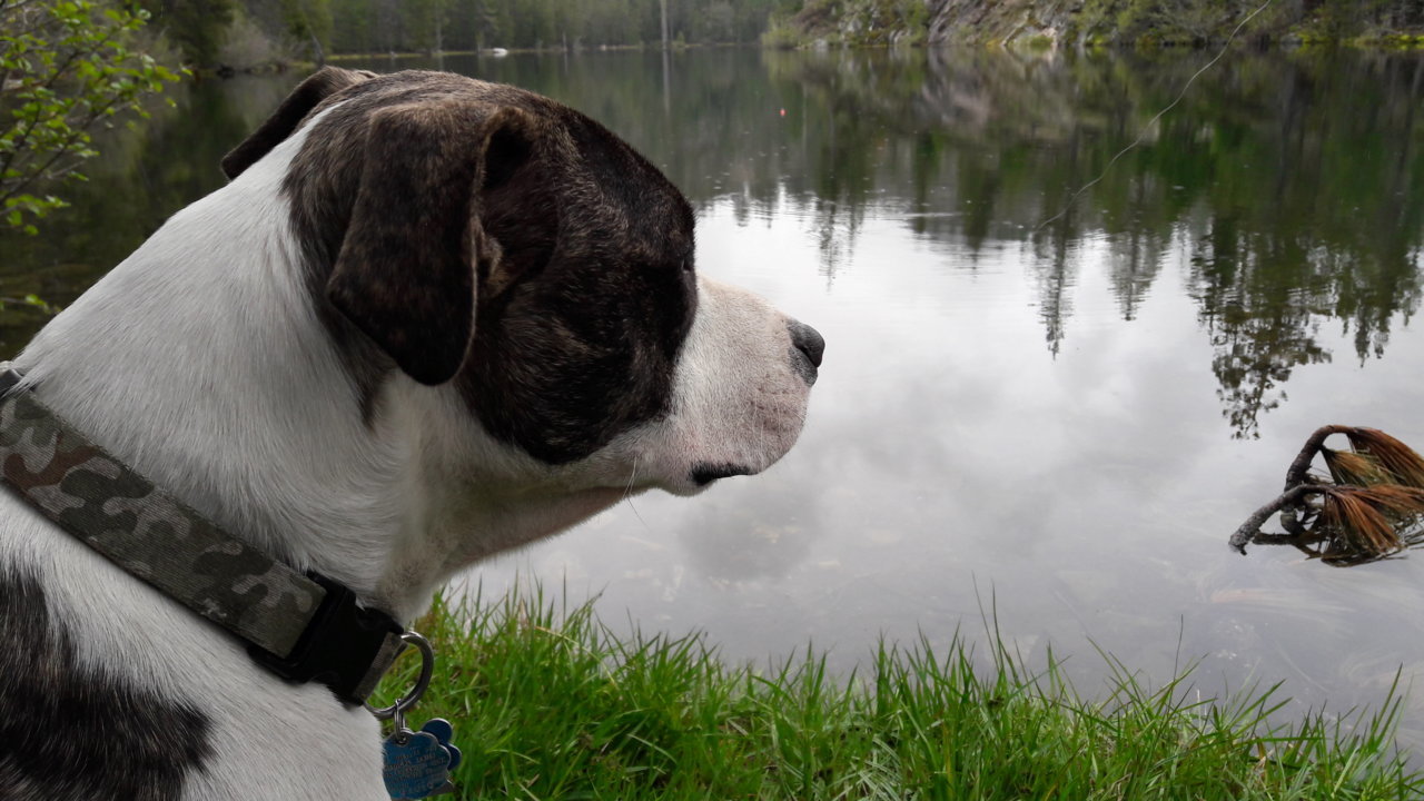 20180526_085258.jpg