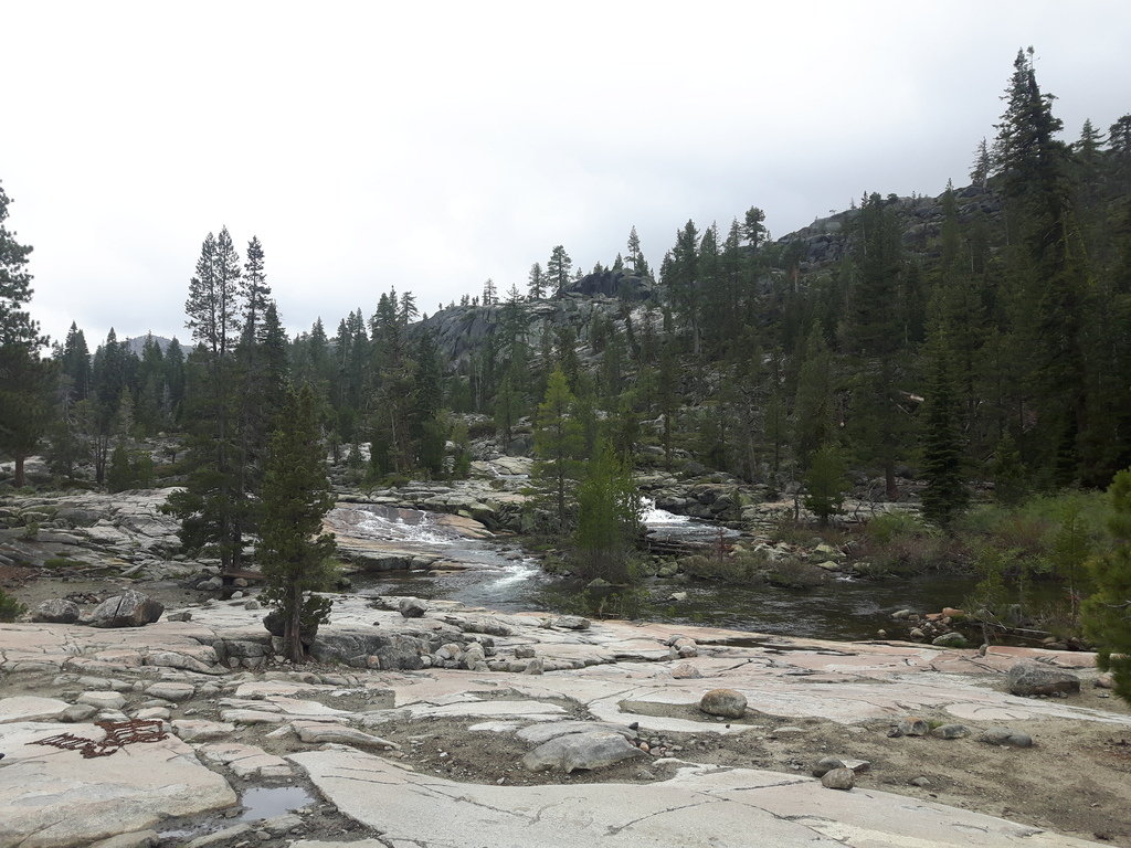 20180526_100142_8a329616cac6569041493e67f2f1c946eb7f718b.jpg
