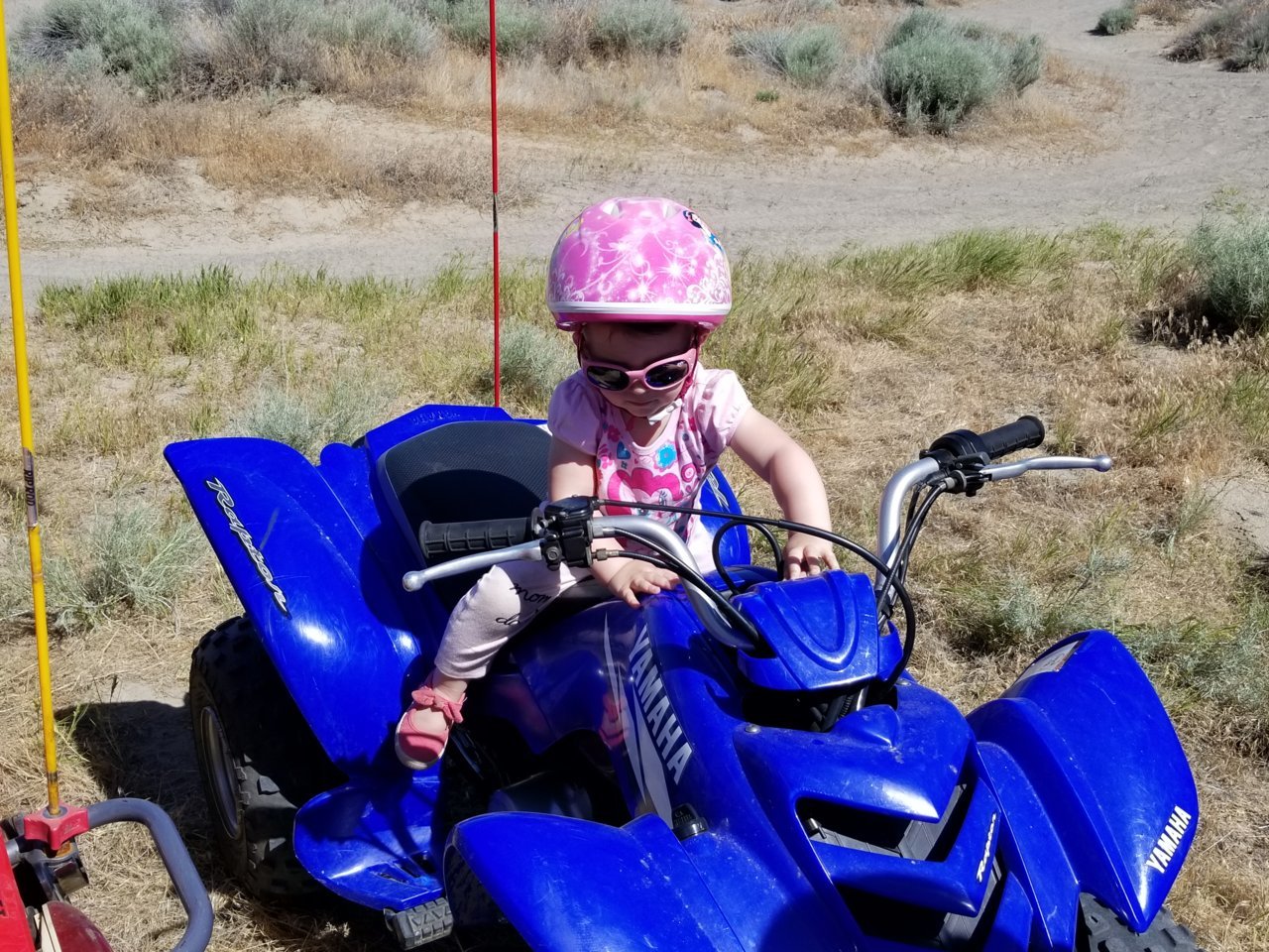 20180526_103248.jpg