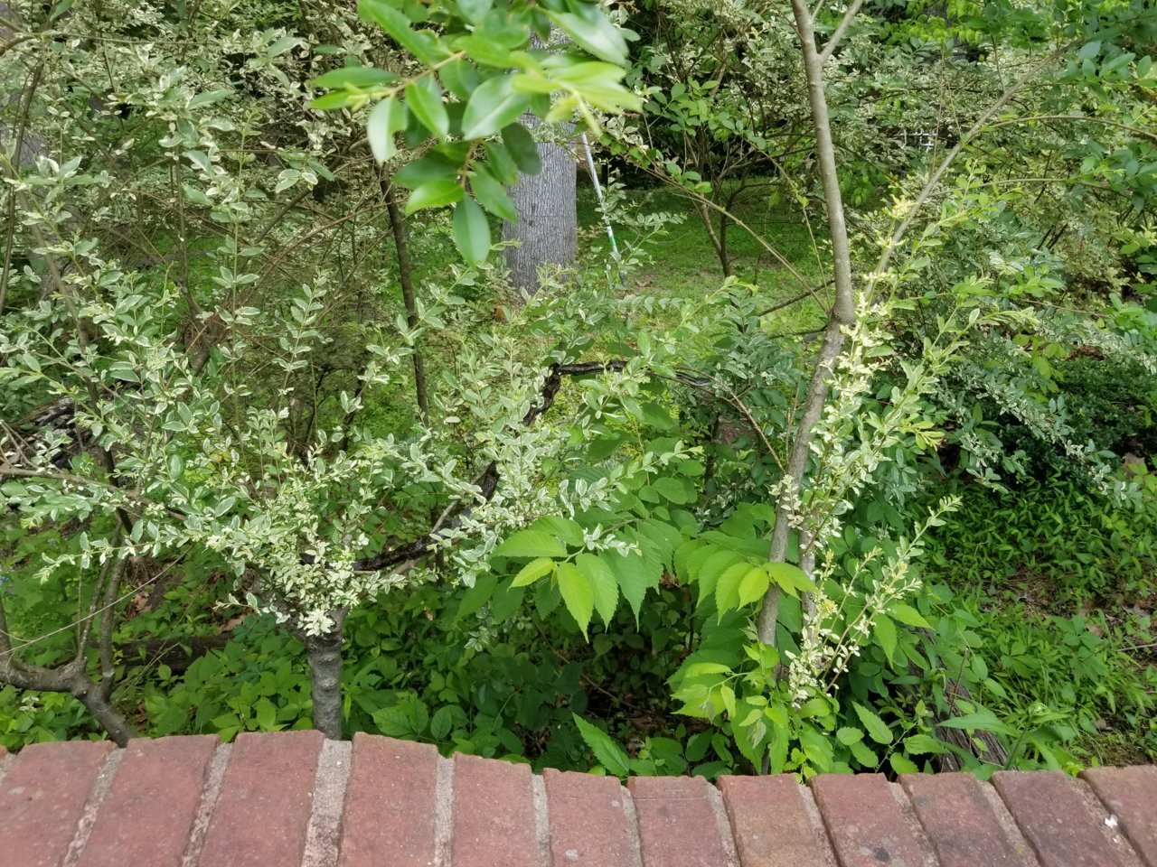 20180526_113939.jpg