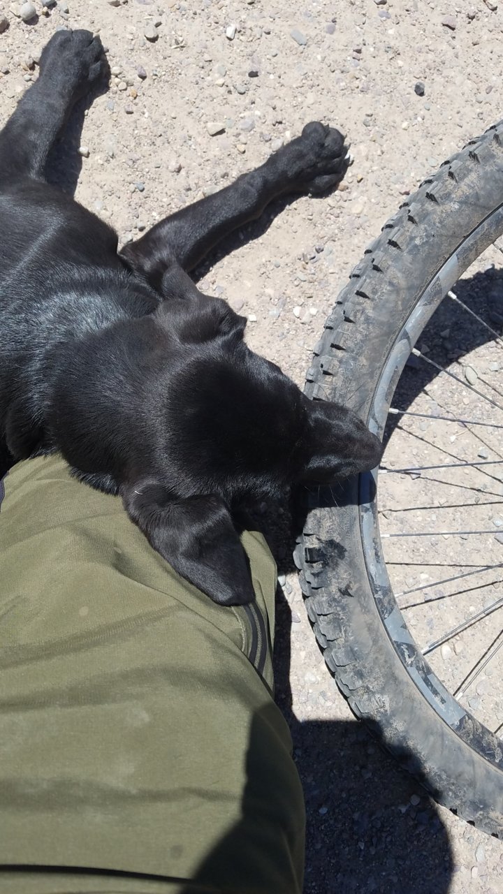 20180526_123955.jpg