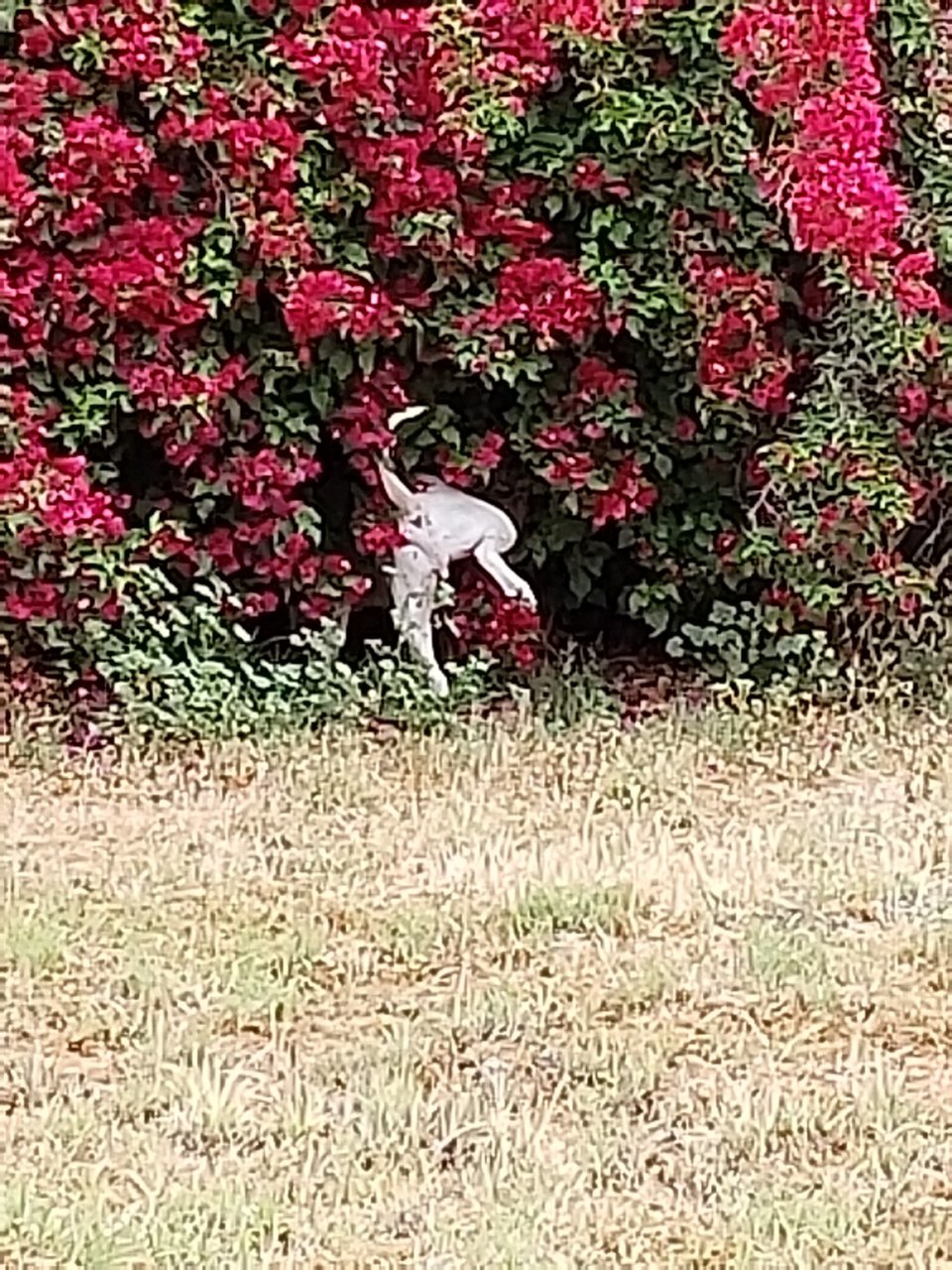 20180527_081744.jpg