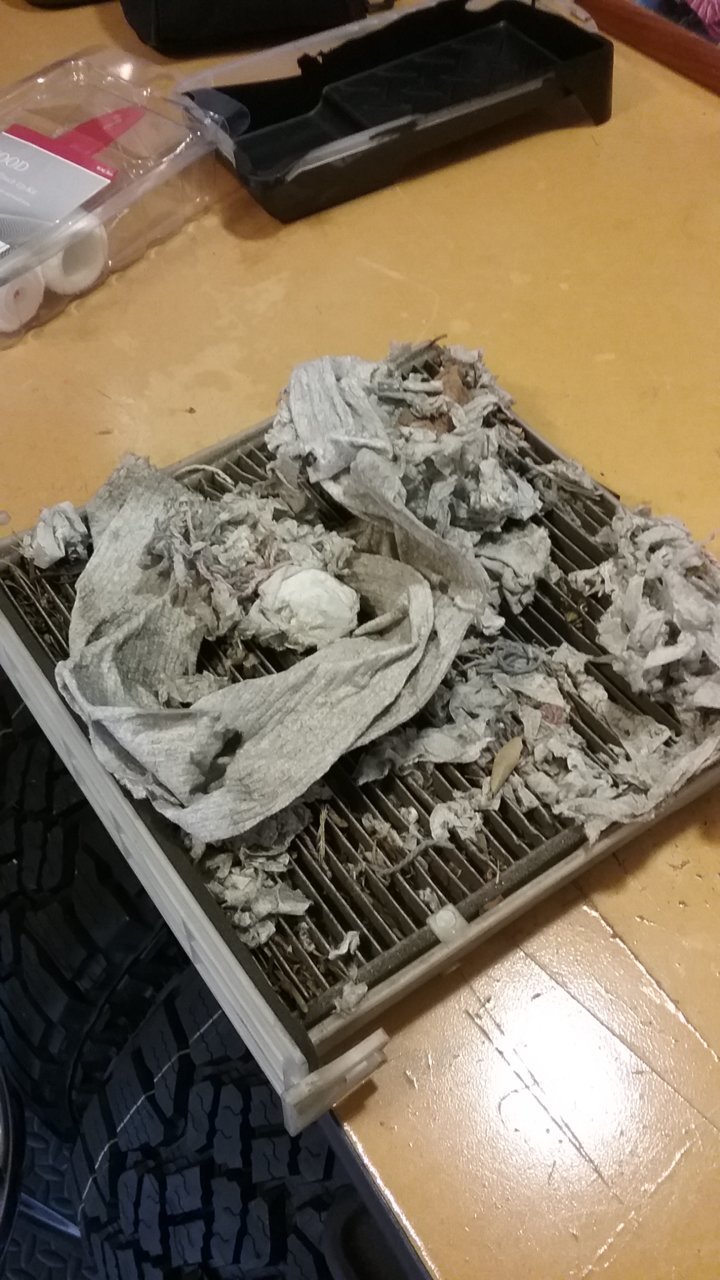 20180527_162753.jpg