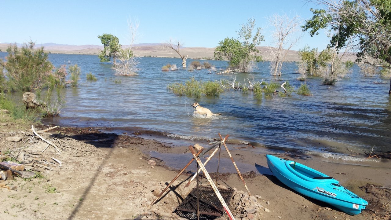 20180528_085725.jpg