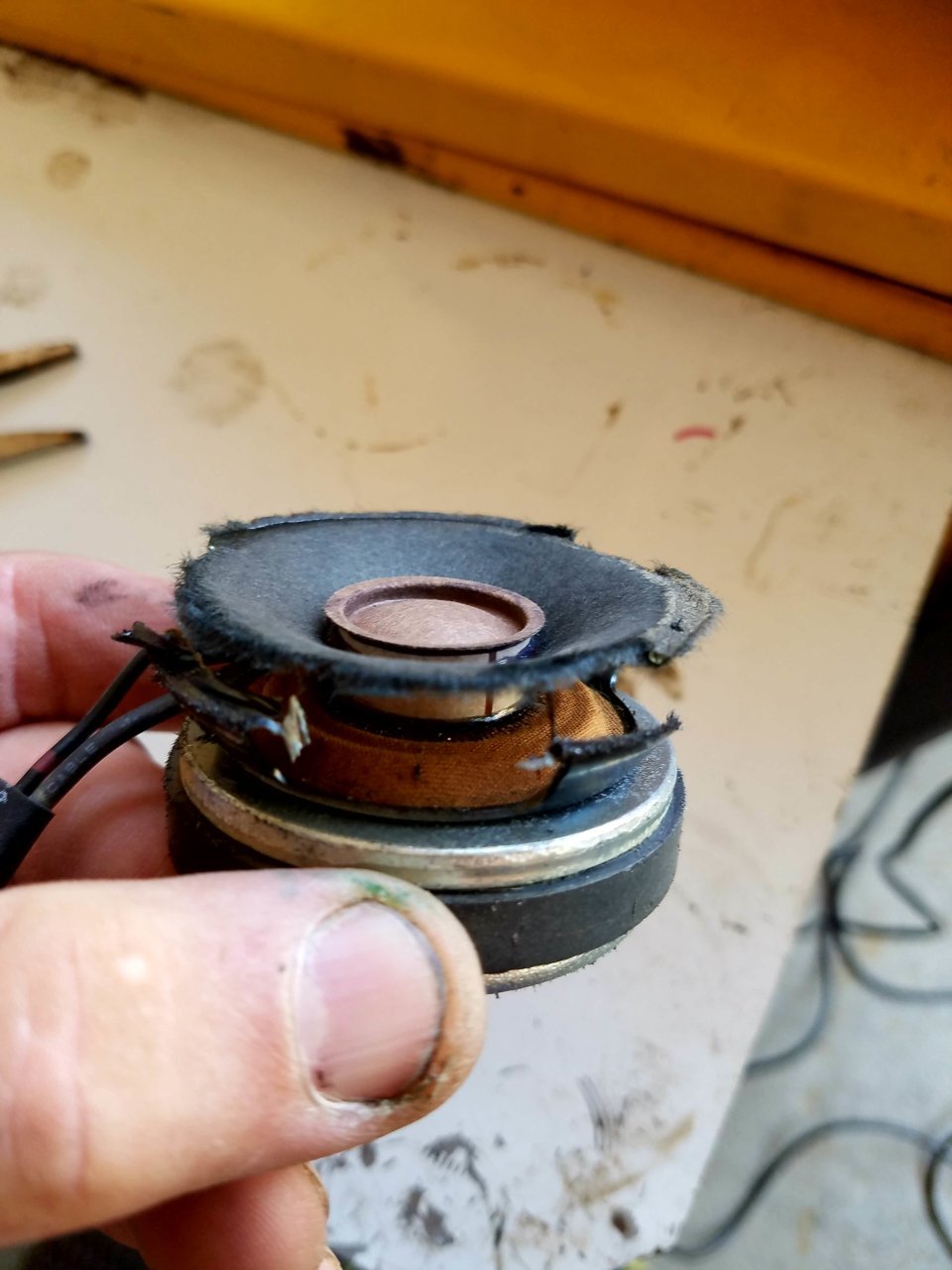 20180528_113556.jpg