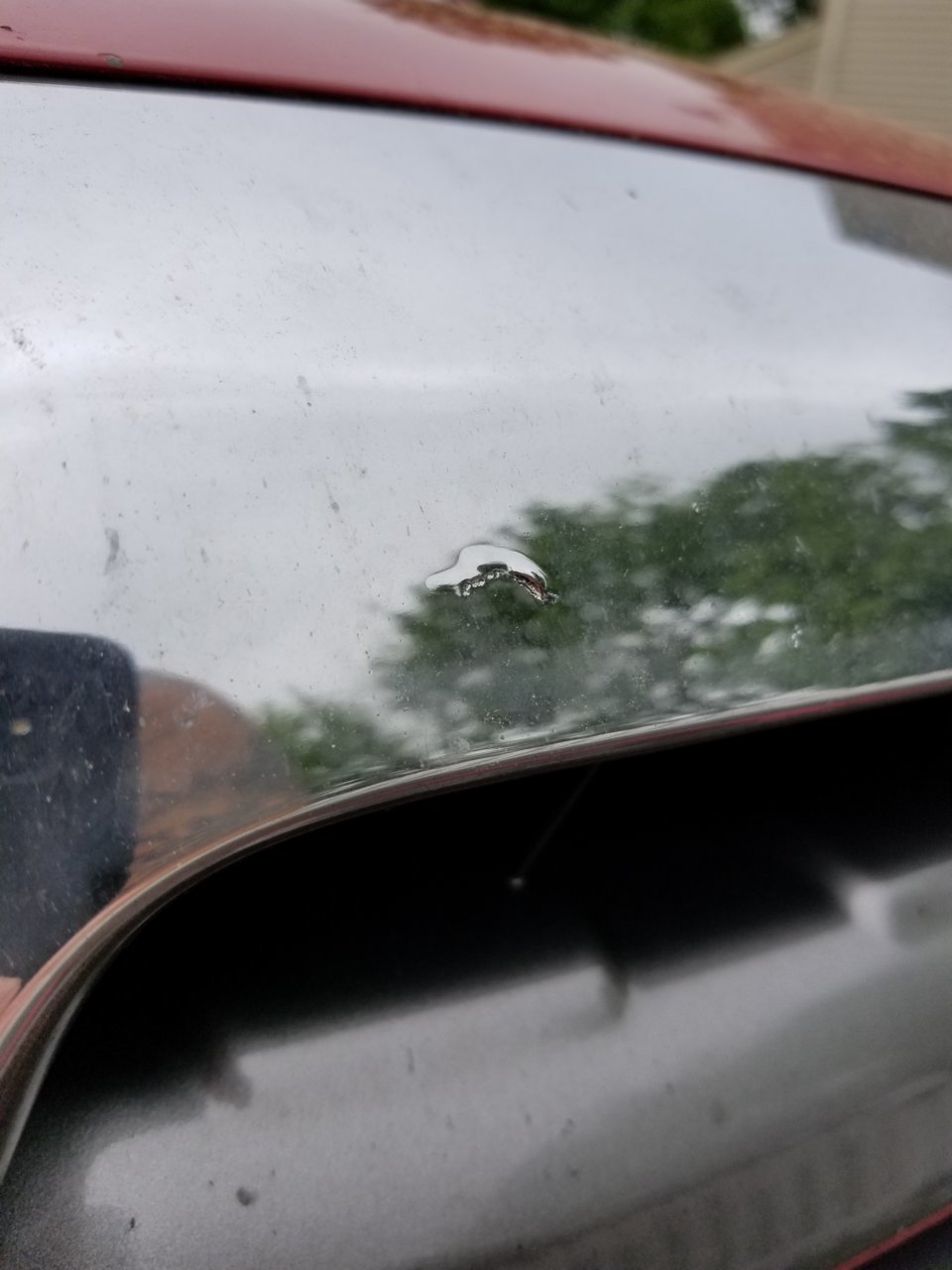 20180528_113919.jpg
